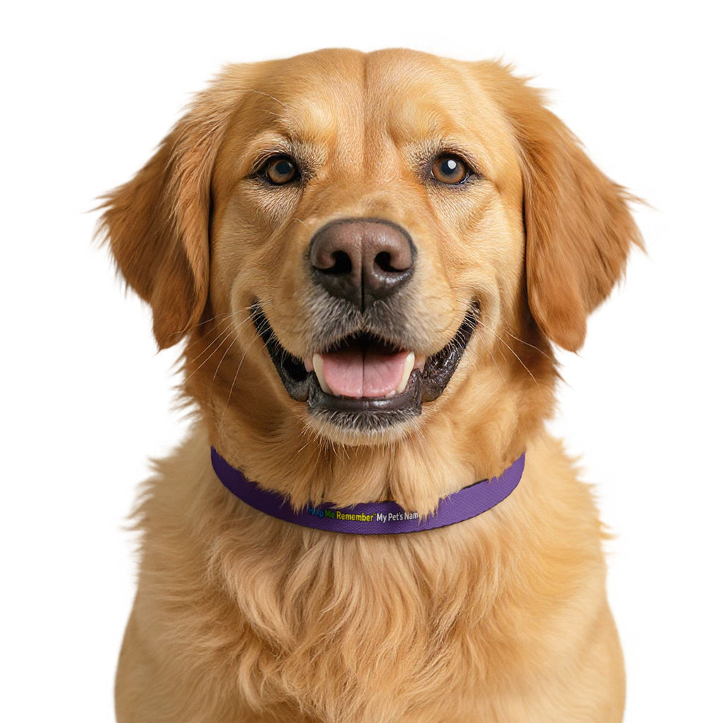 Help Me Remember My Pet’s Name™ – Clip-On Pet Collar